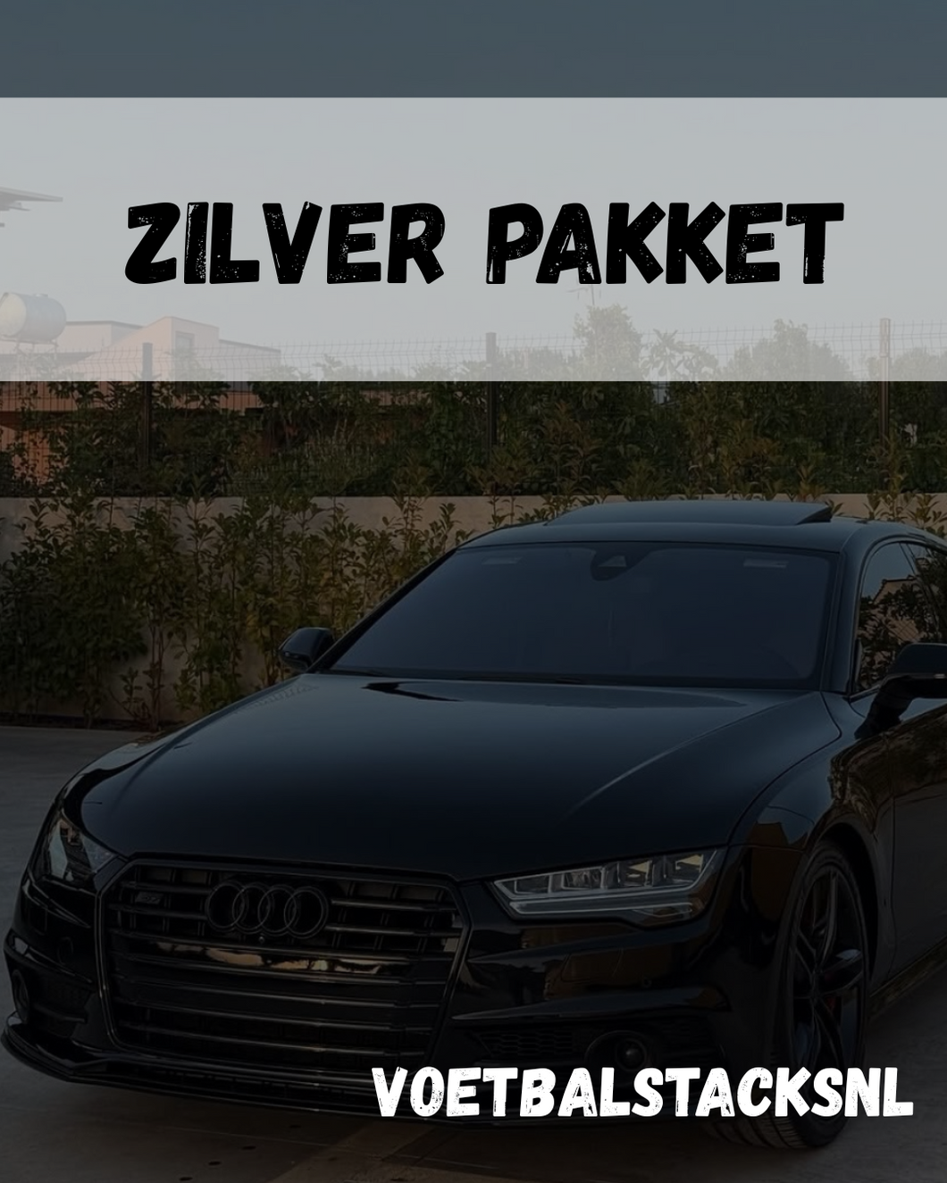 Zilver pakket